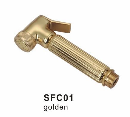 SFC01