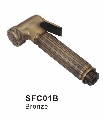 SFC01B