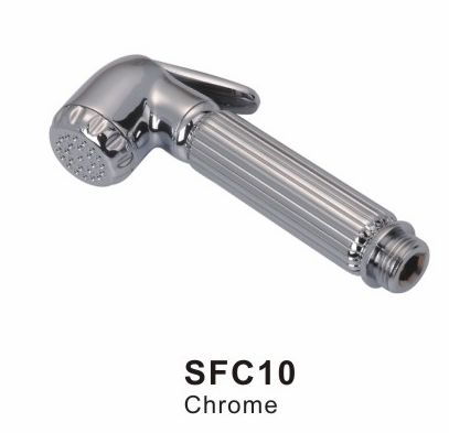 SFC10