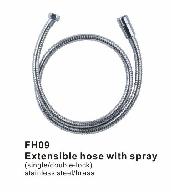 FH09