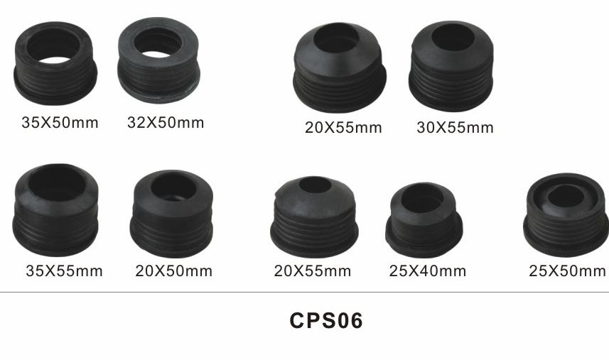 CPS06