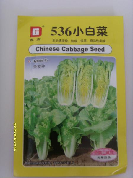 536小白菜