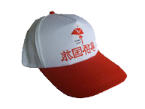 广告帽系列
