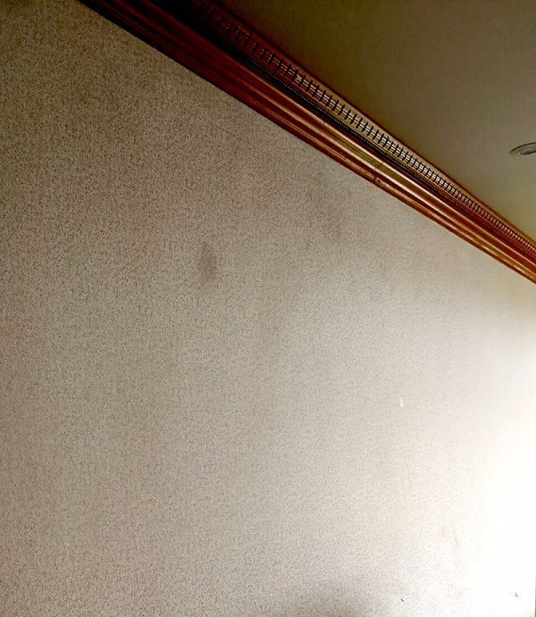 【科布斯】墙布施工上墙后出现透底,溢胶怎么办?